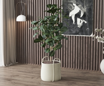Wabi-sabi Style Potted Green Plant-ID:636672029