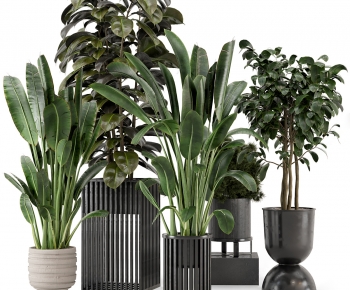 Modern Potted Green Plant-ID:892666101
