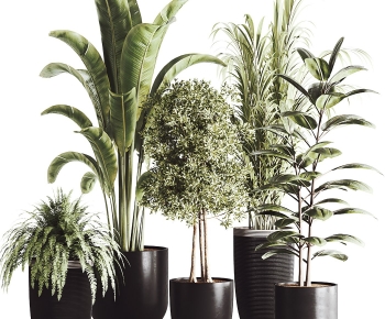 Modern Potted Green Plant-ID:969214929