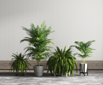 Modern Potted Green Plant-ID:929264079