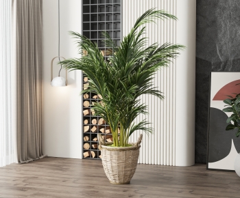Modern Potted Green Plant-ID:241525893
