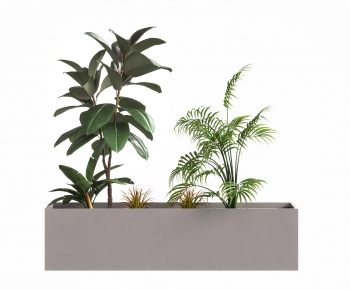 Modern Potted Green Plant-ID:549216994