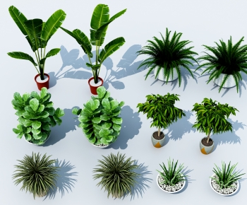 Modern Potted Green Plant-ID:812019117