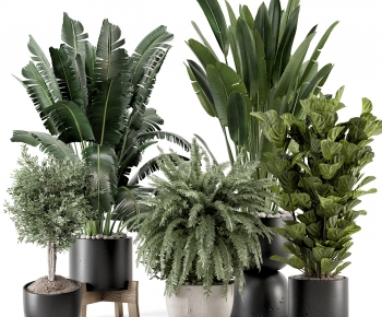 Modern Potted Green Plant-ID:139187108