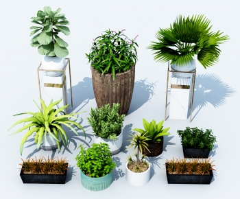 Modern Potted Green Plant-ID:986846924