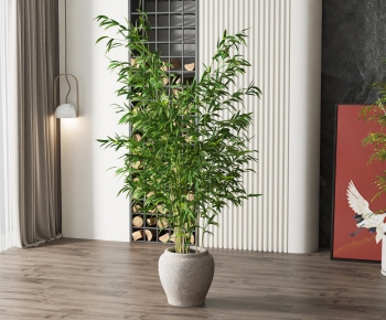 Modern Potted Green Plant-ID:430047044