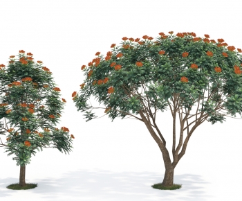 Modern Tree-ID:250430116