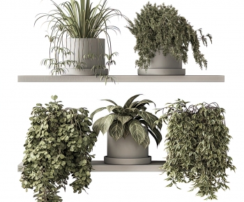 Modern Potted Green Plant-ID:674422983