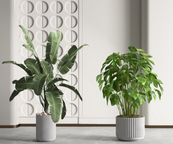 Modern Potted Green Plant-ID:293585065