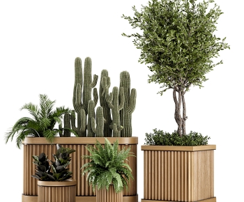 Modern Potted Green Plant-ID:264270364