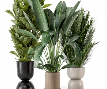 Modern Potted Green Plant-ID:919481045