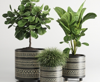 Nordic Style Potted Green Plant-ID:451595074