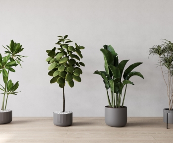 Modern Potted Green Plant-ID:204446089