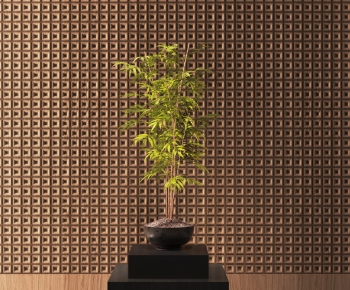 Modern Potted Green Plant-ID:262422084