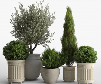 Simple European Style Potted Green Plant-ID:570749049