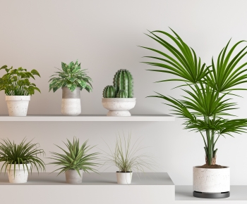 Modern Potted Green Plant-ID:989554887