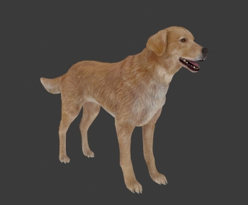 Modern Animal Dog-ID:207396034