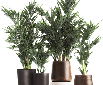 Modern Potted Green Plant-ID:107760476