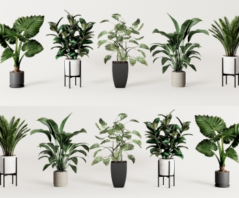 Modern Potted Green Plant-ID:203247077