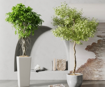 Modern Potted Green Plant-ID:279999027