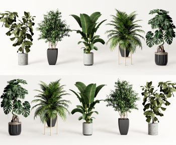 Modern Potted Green Plant-ID:458981049