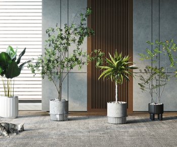 Modern Potted Green Plant-ID:762875088