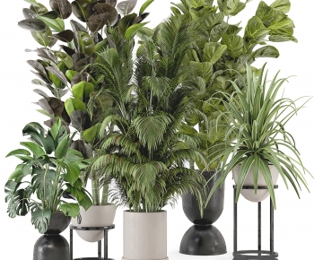 Modern Potted Green Plant-ID:908186911