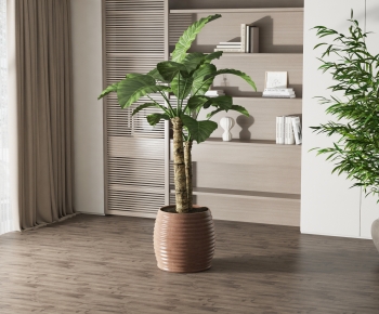Modern Potted Green Plant-ID:247699028