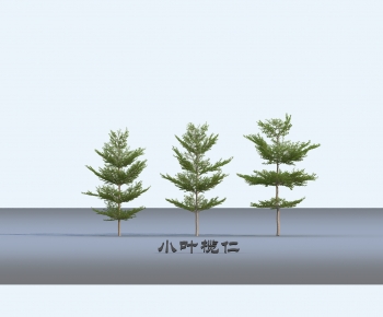 Modern Tree-ID:782032973