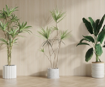 Modern Potted Green Plant-ID:910770999