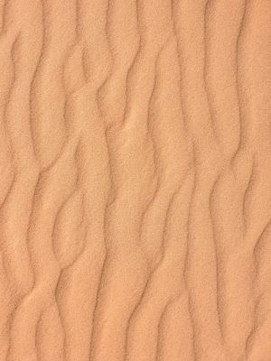 沙滩 沙地 沙子-ID:5493299