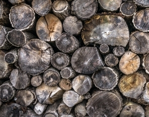 ModernOld Wood Texture