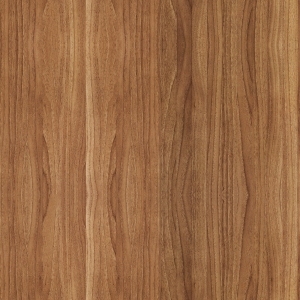 ModernWood Texture