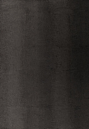 ModernOther Leather