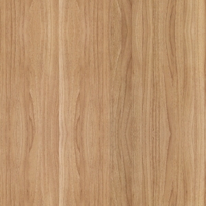 ModernWood Texture