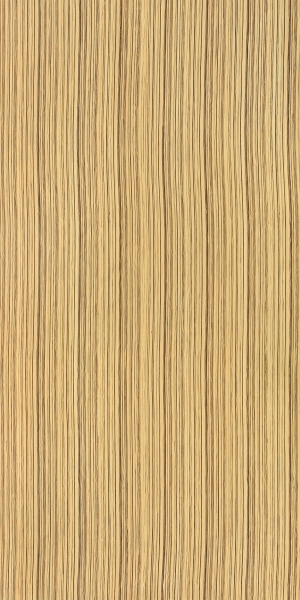 ModernWood Texture