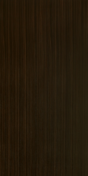 ModernWood Texture