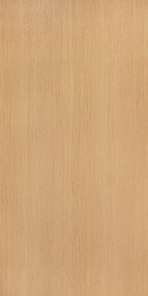 ModernWood Texture