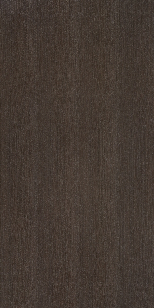 ModernWood Texture