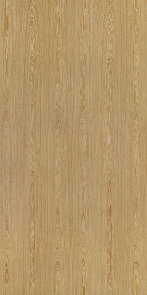 ModernWood Texture