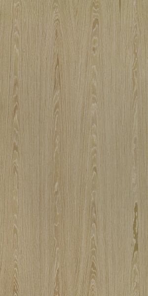 ModernWood Texture