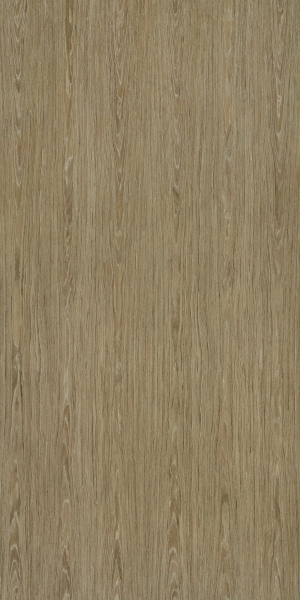 ModernWood Texture