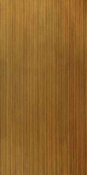 ModernWood Texture