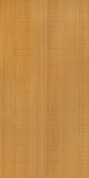 ModernWood Texture