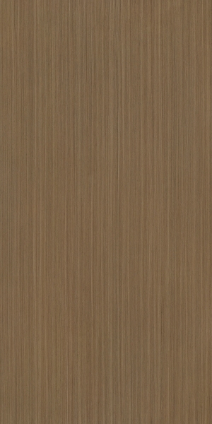 ModernWood Texture