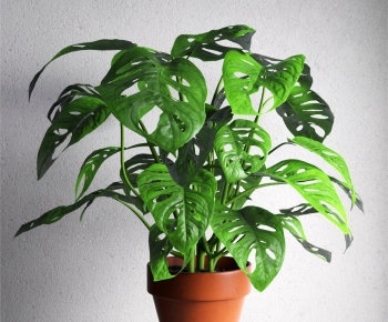 Modern Potted Green Plant-ID:995018011