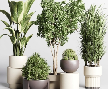 Modern Potted Green Plant-ID:721040963