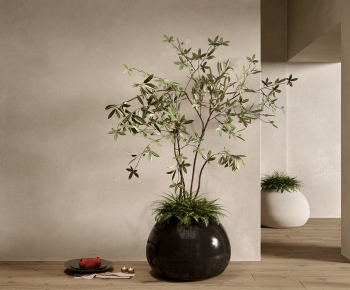 Wabi-sabi Style Potted Green Plant-ID:548027999