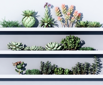 Modern The Grass-ID:965348967