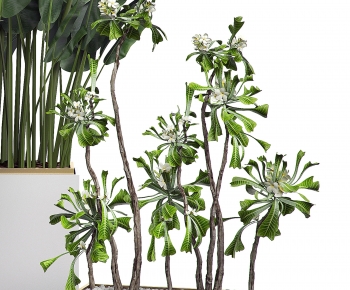 Modern Potted Green Plant-ID:424602038